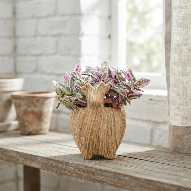 Mixed Garden Plant Arrangement – 10cm Pot