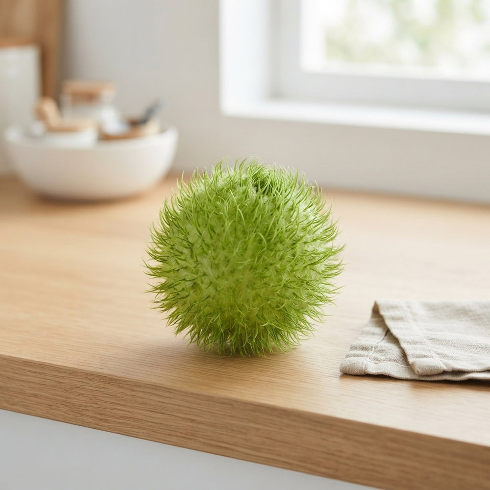 Cucumis Ornamental Fruit – Green