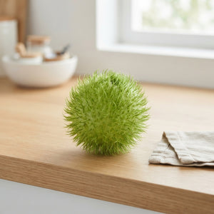 Cucumis Ornamental Fruit – Green