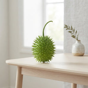 Decorative Green Cucumber Fruit