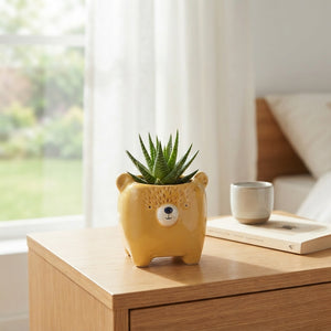 Animal-Patterned Succulent Mix – 14cm Pot