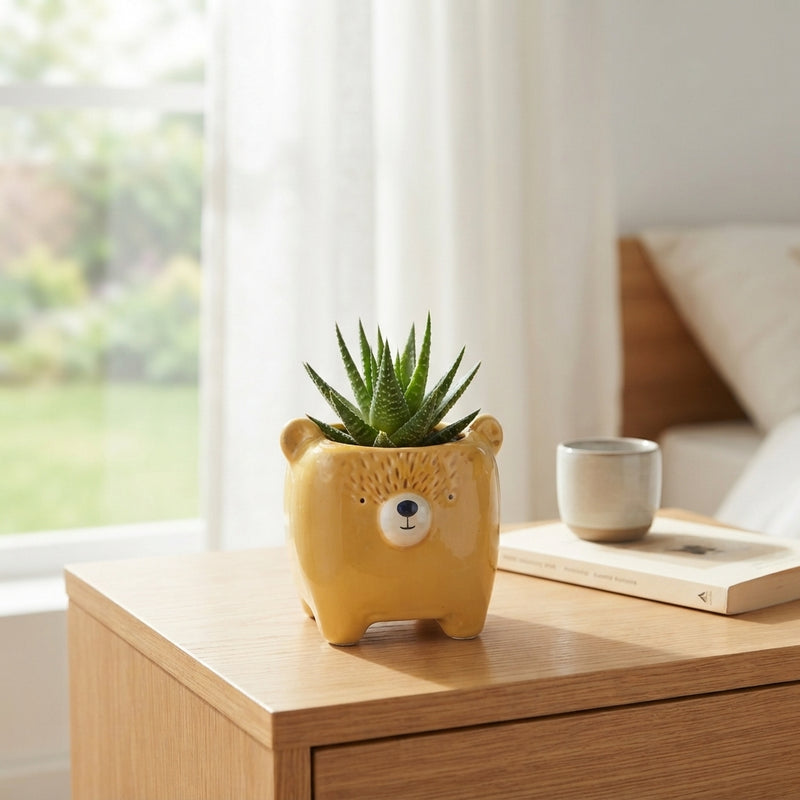 Animal-Patterned Succulent Mix – 14cm Pot