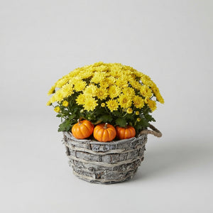 Mixed Colour Floral Arrangement – 3 Stems