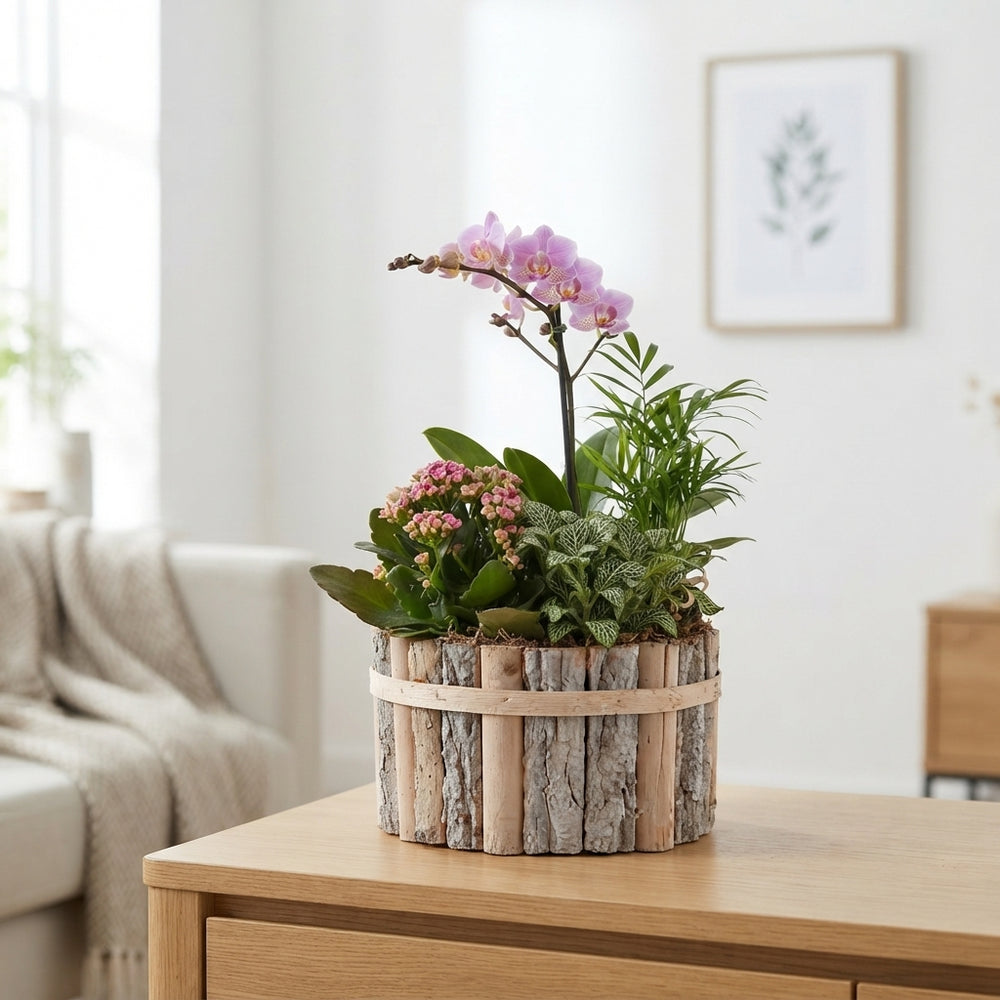 Round Beechwood Mixed-Colour Arrangement
