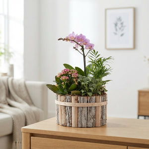 Round Beechwood Mixed-Colour Arrangement