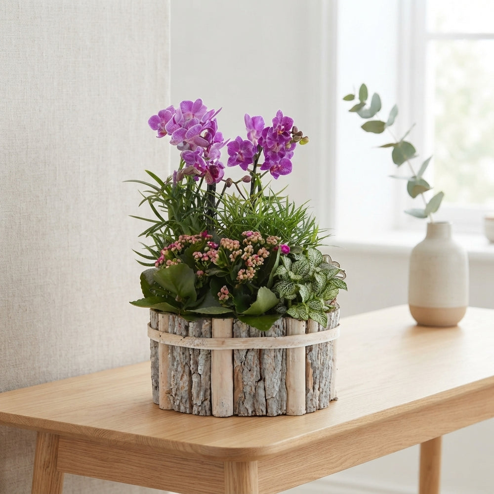 Round Beech Wood Arrangement – Mixed Colours