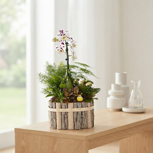 Oval Beechwood Mixed-Colour Arrangement