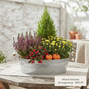 Mixed Colour Floral Arrangement in Round Zinc Pot