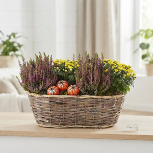Mixed Colour Floral Arrangement – 3 Stems