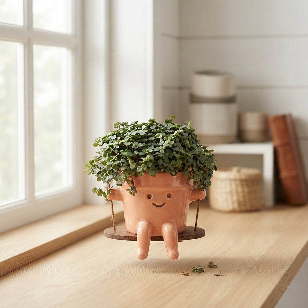Mixed Ceramic Swing Arrangement – 10.5cm Pot