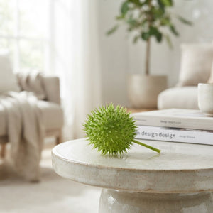 Decorative Green Cucumber Fruit