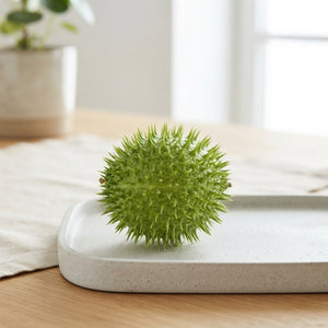 Ornamental Cucumis Hedgehog Fruit – Green