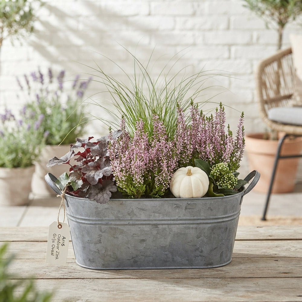 Outdoor Plant Arrangement in Grey Oval Zinc Pot – 25cm