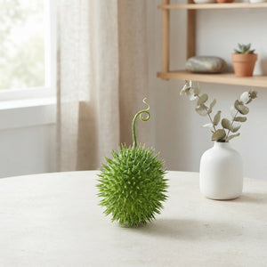 Decorative Cucumis Ornamental Fruit – Green
