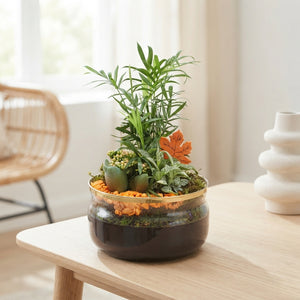 Indoor Plant Arrangement in Glass Bowl – 20cm