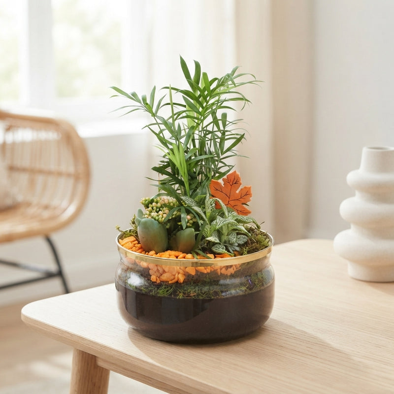 Indoor Plant Arrangement in Glass Bowl – 20cm