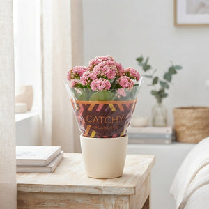 Mini Double-Flowered Kalanchoe – 8cm Pot