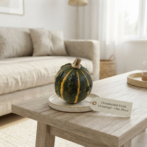Mixed Ornamental Gourds – Pepo Collection