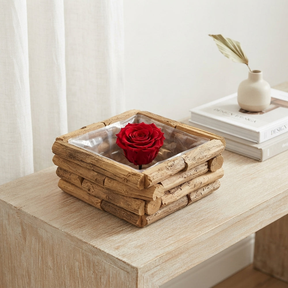 Preserved Red Rose Stem – Up to 49cm