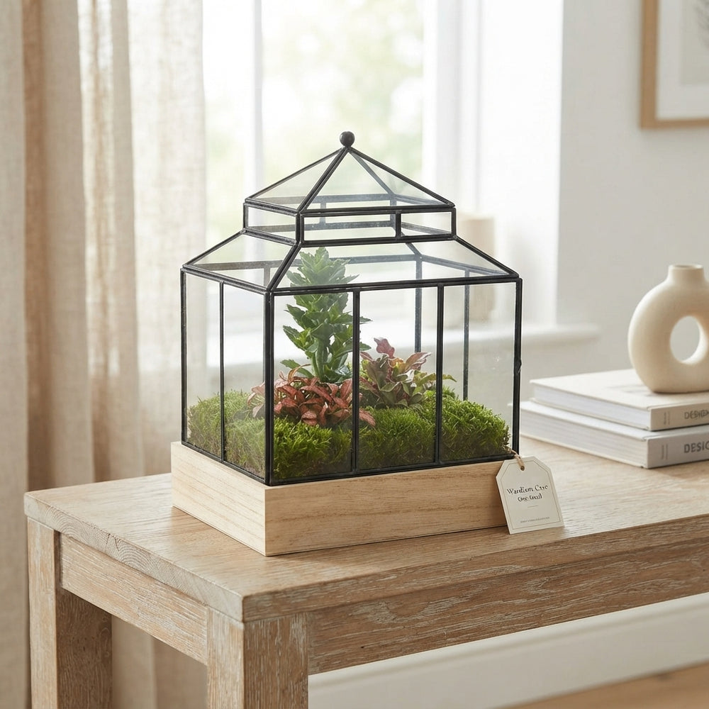 Wardian Case Terrarium Arrangement – 20cm Glass