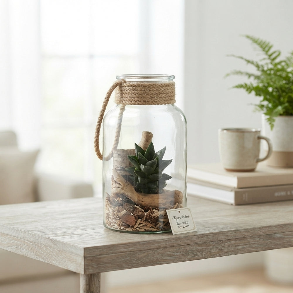 Haworthia Terrarium Arrangement – 14cm Glass Bottle