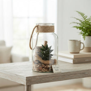 Haworthia Terrarium Arrangement – 14cm Glass Bottle