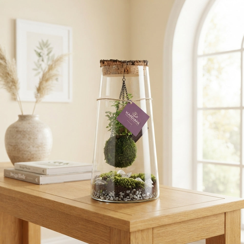 Kokedama Terrarium Arrangement – 17cm Glass