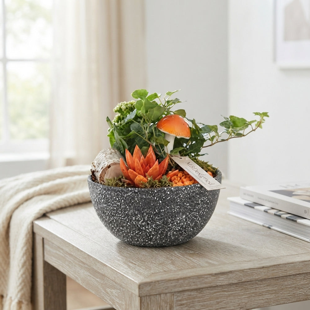 Indoor Plant Arrangement in Decorative 18cm Pot