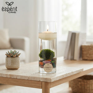 Marimo Moss Ball Arrangement – 6cm Glass Pot