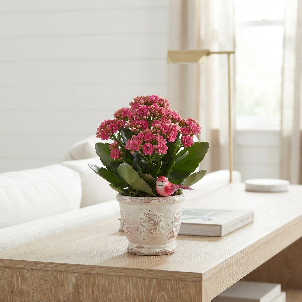 Mixed Colour Rose Arrangement – 3 Flowers