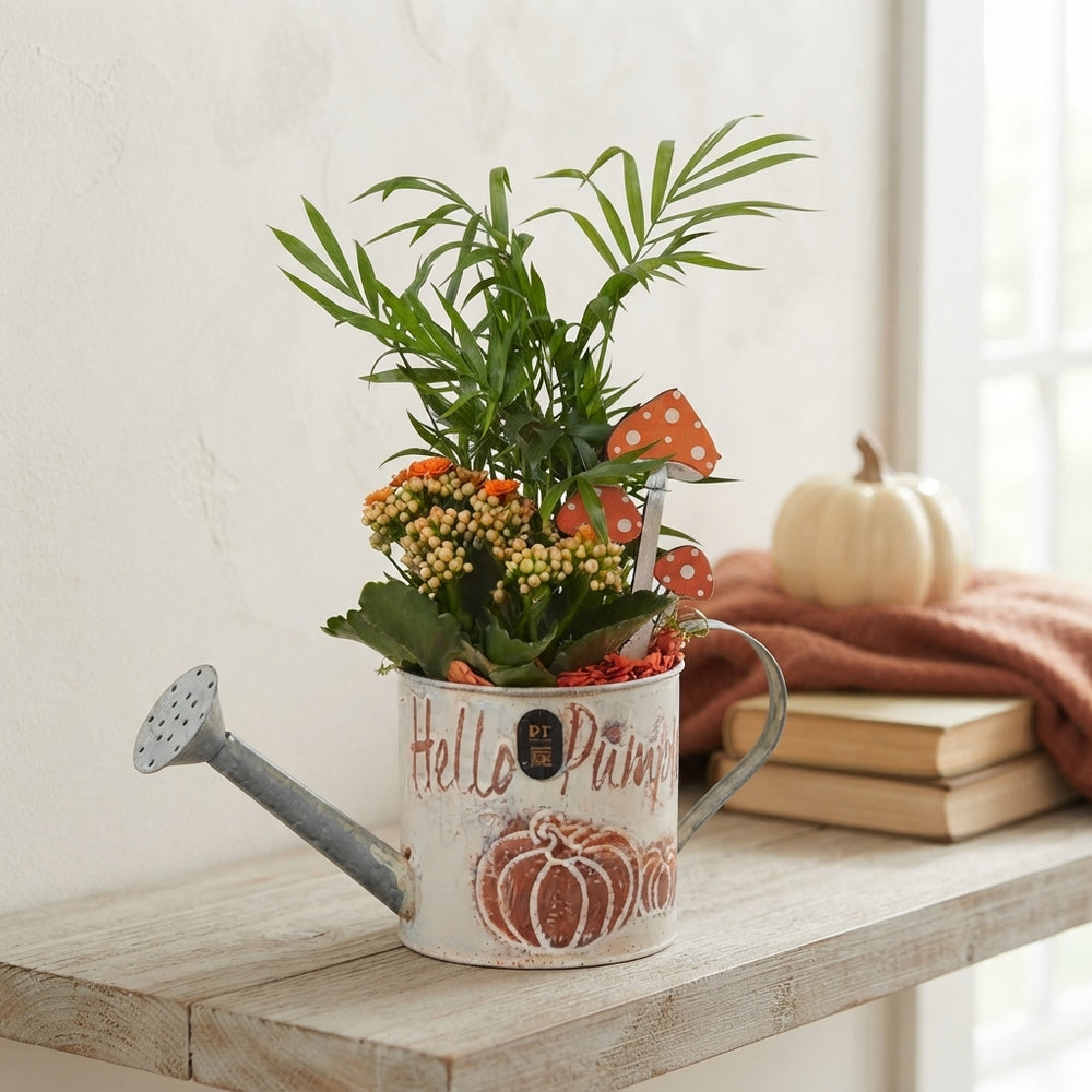 Autumn Indoor Plant Arrangement in Watering Can – 12cm Pot