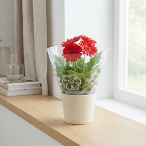 Mixed Gerbera Flowering Houseplant – 12cm Pot