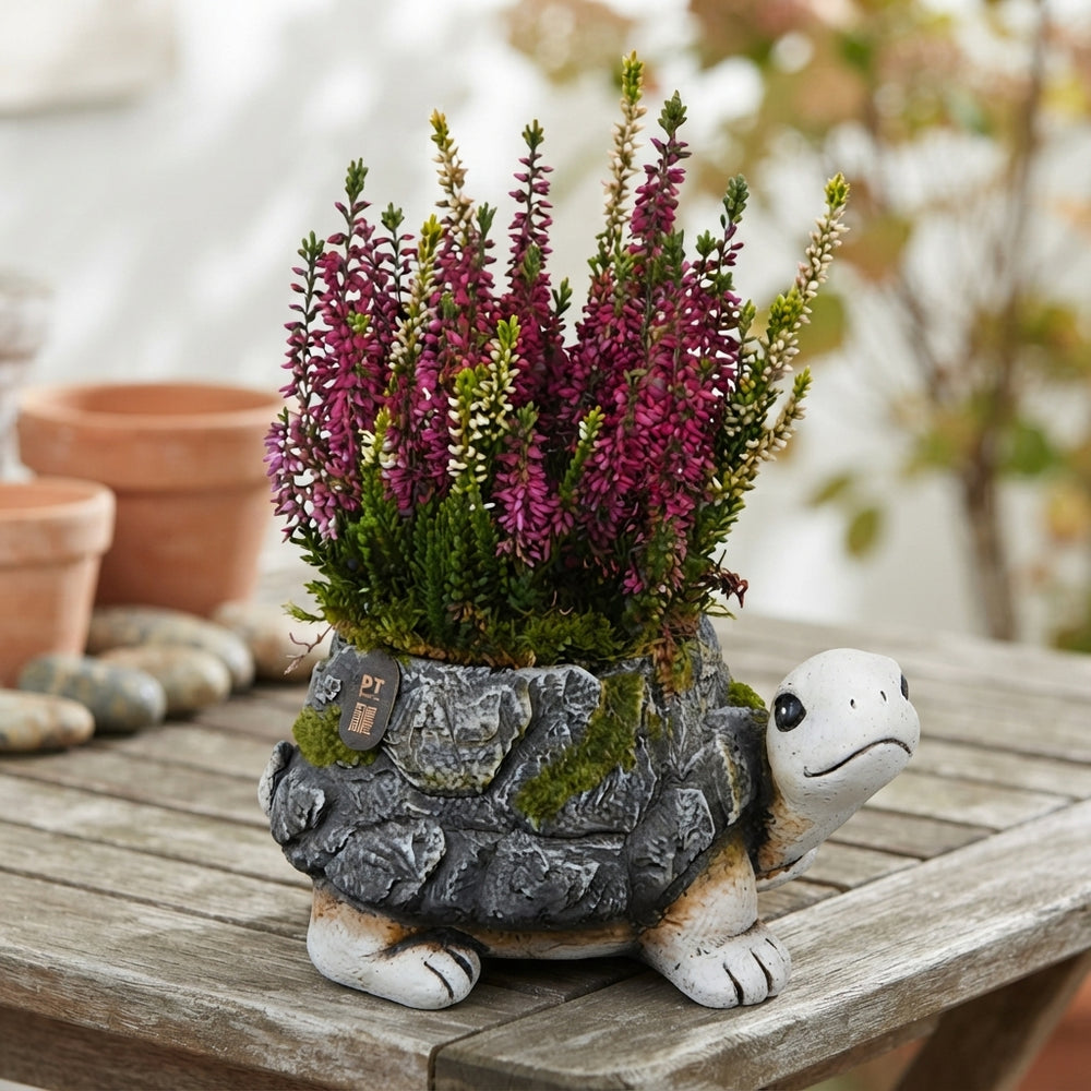Autumn Outdoor Plant Arrangement – 21cm Ornamental Pot