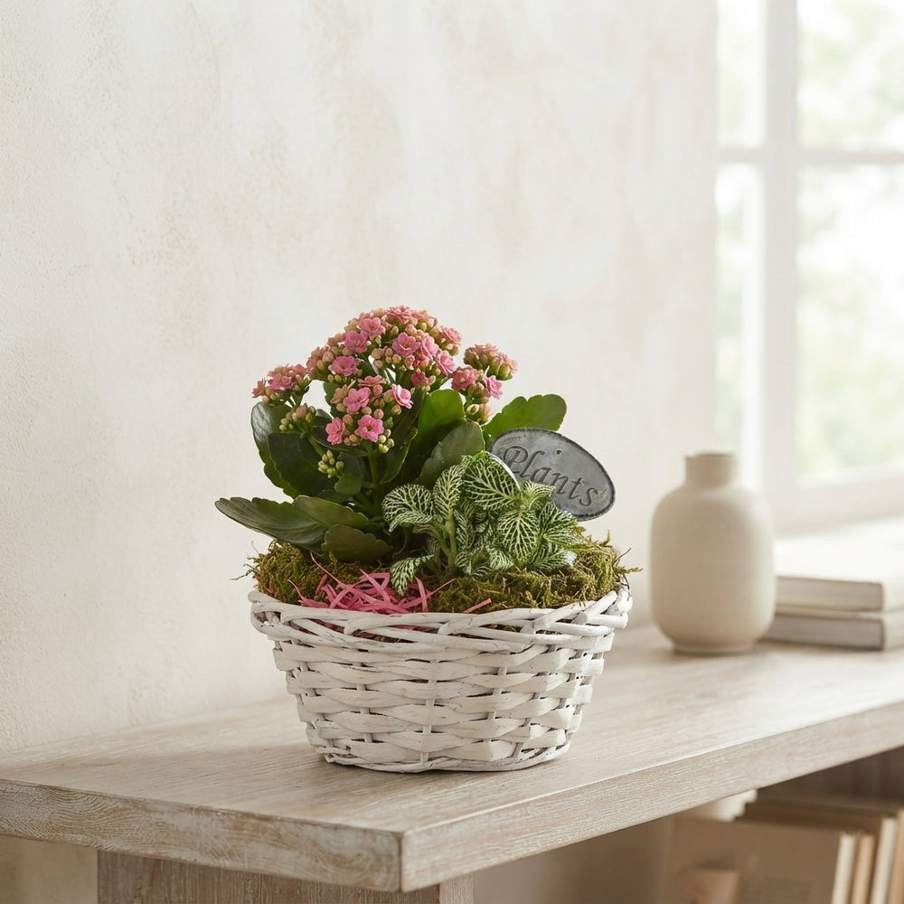 Mixed Colour Floral Arrangement