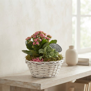 Mixed Colour Floral Arrangement