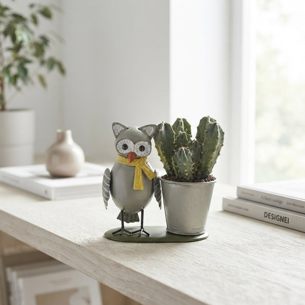 Mixed Cactus Collection in Owl Zinc Planter – 8cm