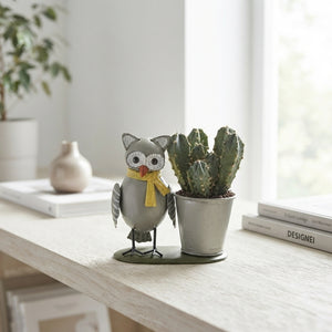 Mixed Cactus Collection in Owl Zinc Planter – 8cm