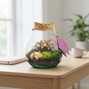 Medium Glass Terrarium Arrangement – 16cm