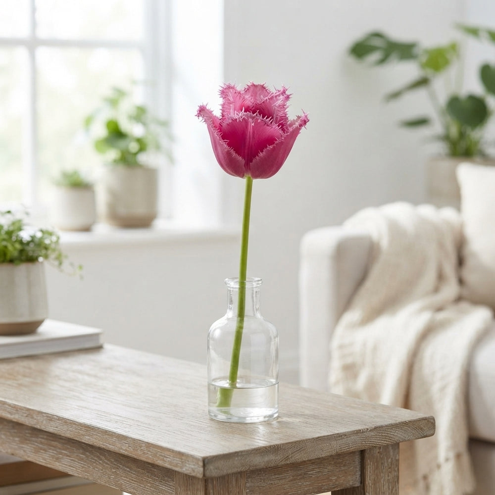 Fringed Tulip Bulb Collection – Mixed Colours, Pack of 10
