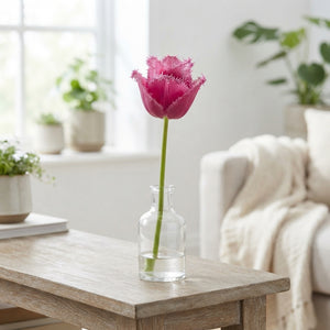 Fringed Tulip Bulb Collection – Mixed Colours, Pack of 10