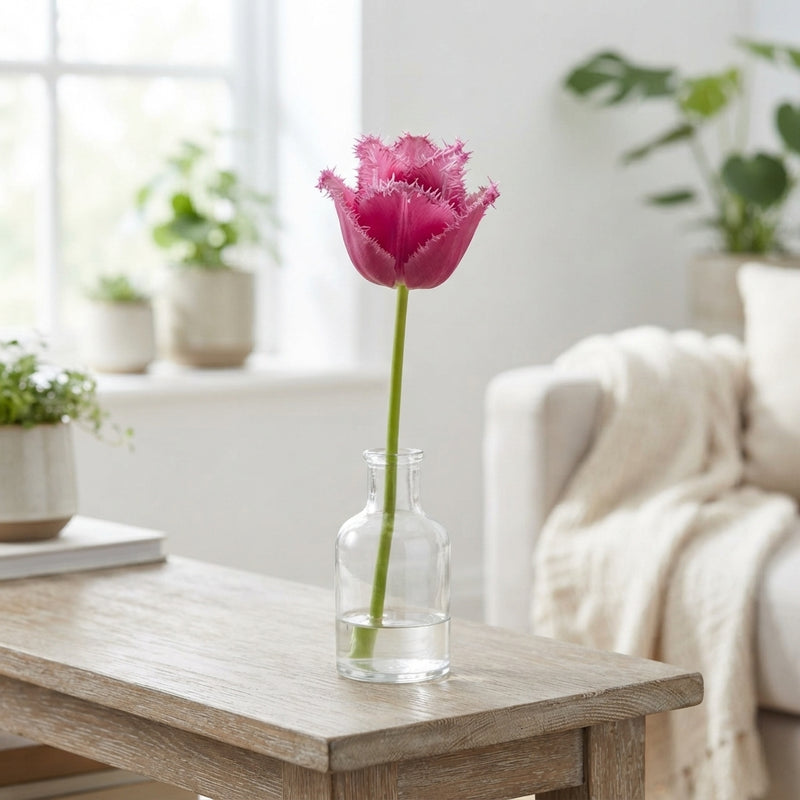 Fringed Tulip Bulb Collection – Mixed Colours, Pack of 10