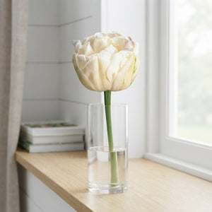 Double Late Tulip Bulbs ‘Mount Tacoma’ – 7 Bulbs