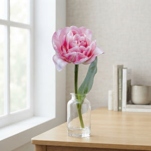 Double Early Tulip ‘Foxtrot’ Flower Bulbs – 7 Bulbs