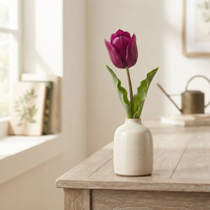 Tulip ‘Passion’ Triumph Bulbs – 7 Bulbs
