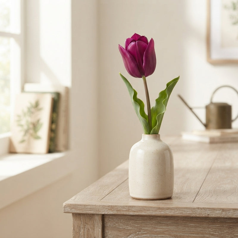 Tulip ‘Passion’ Triumph Bulbs – 7 Bulbs
