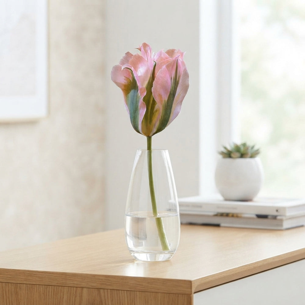 Tulipa Viridiflora ‘China Town’ Flower Bulbs – 7 Bulbs