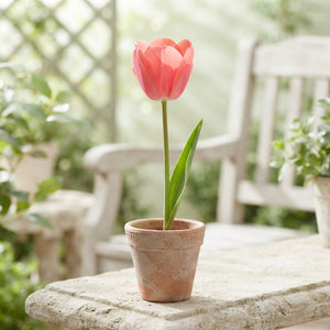 Tulipa ‘Garden Flower Parade’ Tulip Bulbs – 10 Pack