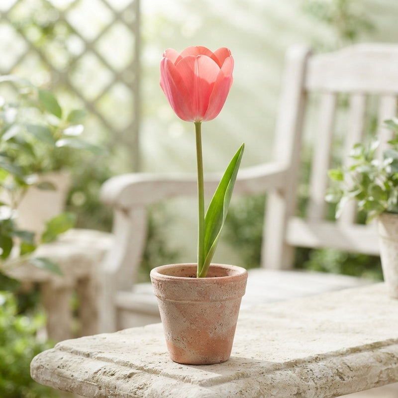 Tulipa ‘Garden Flower Parade’ Tulip Bulbs – 10 Pack