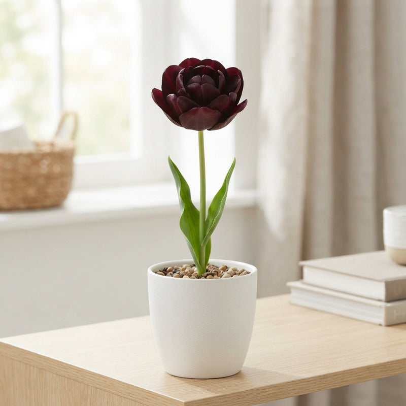 Tulip ‘Garden Charming’ Flower Bulbs – 12/+