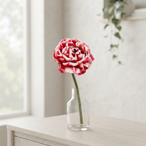 Tulip ‘Drumline’ Double Late Flower Bulbs – 7 Bulbs